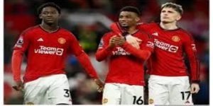 南宫体育真人娱乐全攻略